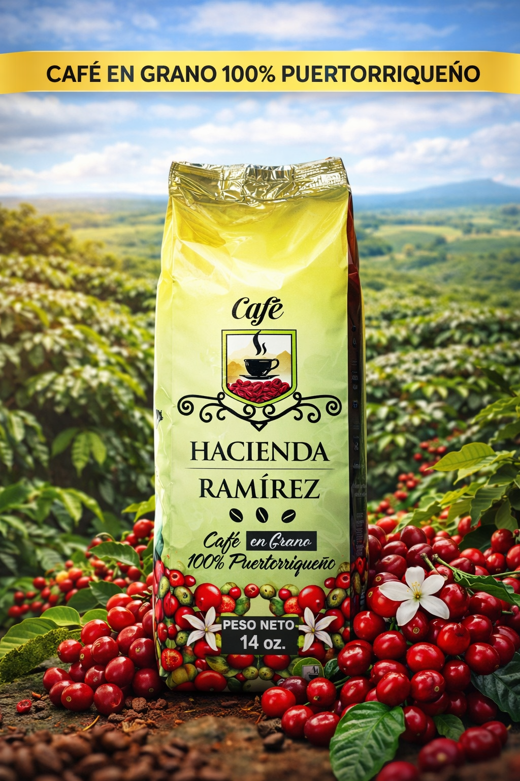 Coffee Beans 14 OZ